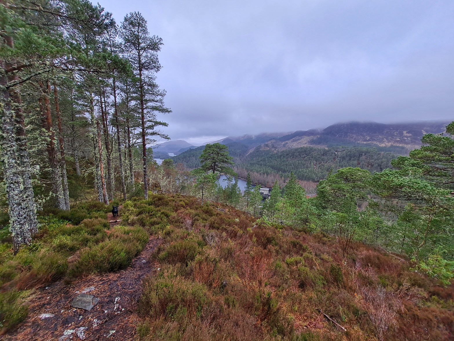 How to make blogging a&nbsp;habit